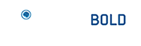 BriskBold IT Services